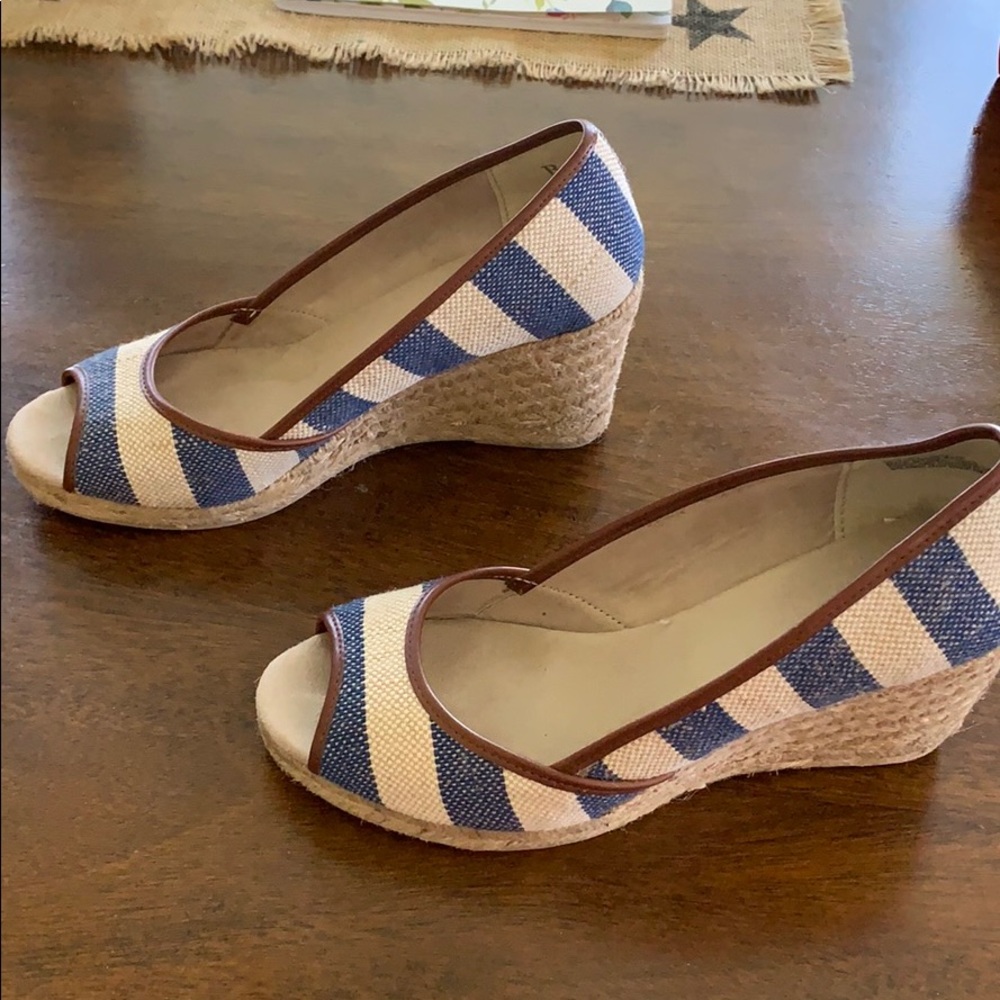 Blue white striped wedges